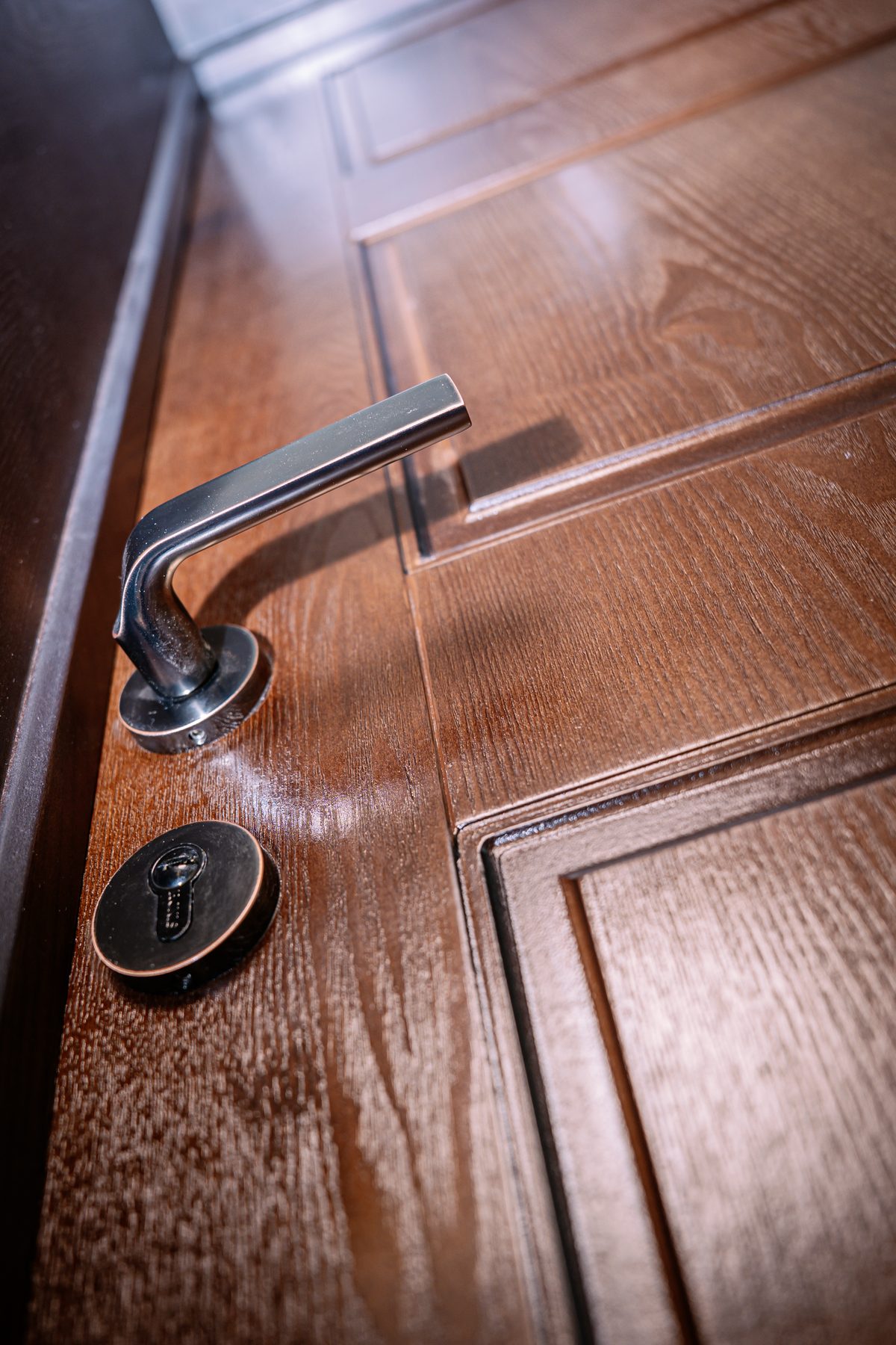 Detail of Fassilo timber door and hardware