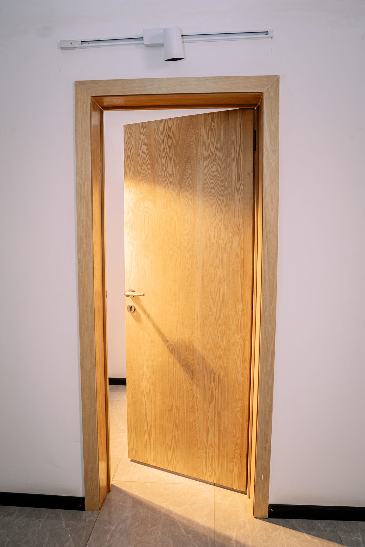 Light timber interior door